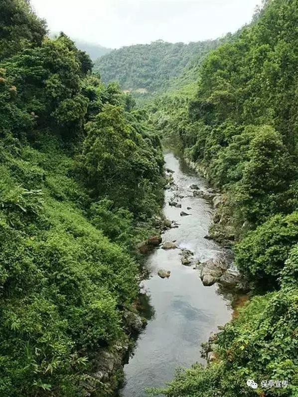 蒸汽时代的公主